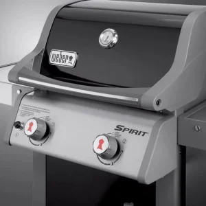Weber Liquid Propane Grill, 2-Burner, Black - Spirit E-210