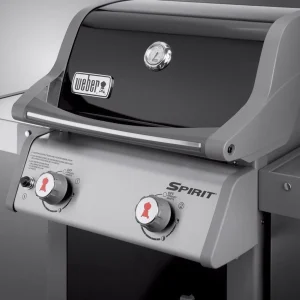 Weber 2 Burner Liquid Propane Grill, Black - Spirit E-210