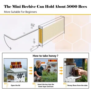 AUSHIVE Wax-Coated Cedarwood Beehive Kit With 4 Beehive Frames And 6 Brood Frames - Beige