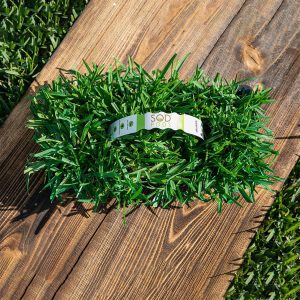 SodPods St. Augustine Grass Plugs - 2 8-Count Packs