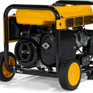 DeWalt Portable Gas Generator 5 000 Starting Watts, 4 000 Running Watts, 223cc - DXGNR4000