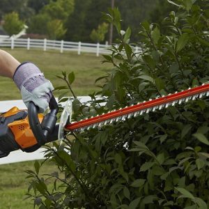 24x22 56V Cordless Hedge Trimmer - WG291