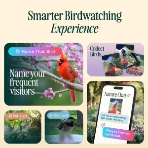 Birdbuddy PRO Solar Smart Bird Feeder With Camera, 5MP Photos, 2K HD Video, Blue - PRO