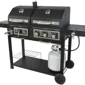 BLOSSOMZ Dual-Fuel Outdoor Grill, Charcoal & Gas - BLZ-39980
