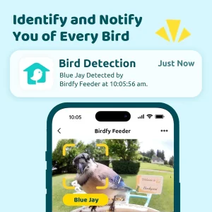 NETVUE by Birdfy Smart Bird Feeder With Camera, Solar Power, 1.5L
