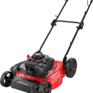 PowerSmart 21 in Gas Push Lawn Mower With 125cc Briggs And Stratton E300 Engine - 2-in-1