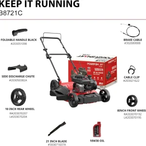 PowerSmart 21 in Gas Push Lawn Mower With 125cc Briggs And Stratton E300 Engine - 2-in-1