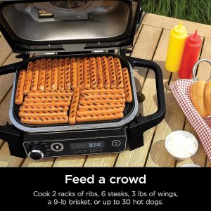 Ninja Woodfire Pro Outdoor Grill & Smoker With Built-In Thermometer - OG751BRN