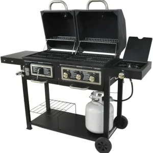 BLOSSOMZ Dual-Fuel Outdoor Grill, Charcoal & Gas - BLZ-39980