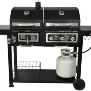BLOSSOMZ Dual-Fuel Outdoor Grill, Charcoal & Gas - BLZ-39980