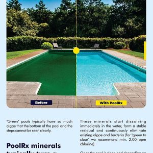 Black Swimming Pool Algaecides, 4 Pack, 20,000-30,000 Gallon - 101067