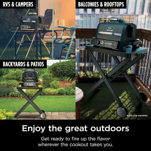 Ninja 7-in-1 Portable Electric Outdoor Grill And Smoker With Thermometer, Grey - OG751BRN